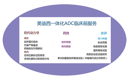 J9九游会老哥俱乐部一体化ADC临床前服务