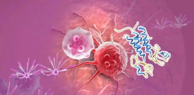 【盘点】高选择性mTOR抑制剂的研究进程_J9九游会老哥俱乐部生物医药