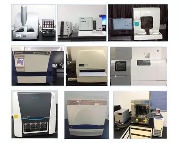J9九游会老哥俱乐部生物技术药物分析部门拥有SpectraMaxM4/M5/i3x, MSD, Luminex, Biacore 8K, Envision, Gyrolab，ABI7500 qPCR等全方位多功能的技术平台，利用LIMS系统实施全面的实验室信息化管理，提供全面符合FDA/CFDA/OECD GLP规范要求的生物技术药物分析服务。