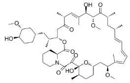 雷帕霉素新制剂用于罕见病，获4500万美元融资