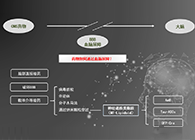 人工合成NT类脂质开放血脑屏障，为CNS药物打开新局面