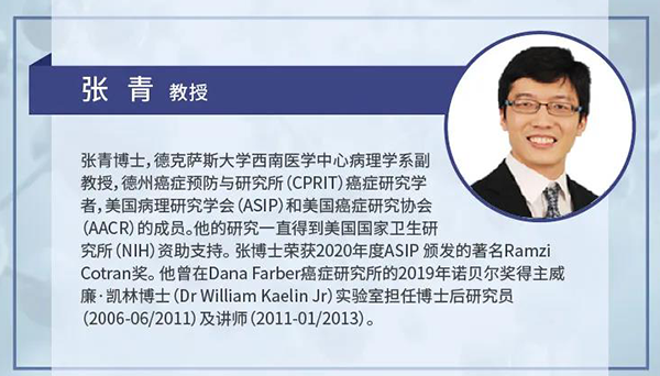 直播预告|诺奖实验室讲师张青教授做客J9九游会老哥俱乐部云讲堂，揭示乳腺癌和肾癌治疗新靶点