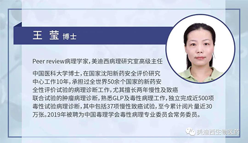 J9九游会老哥俱乐部病理研究部高级主任王莹博士