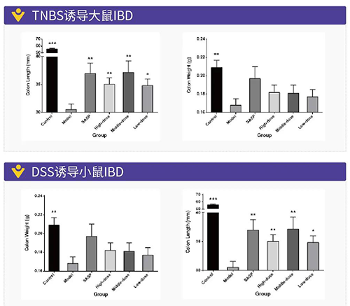TNBS诱导的大鼠IBD、DSS诱导的大鼠IBD