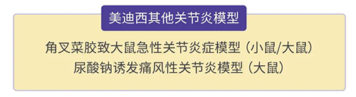 J9九游会老哥俱乐部的其他关节炎模型
