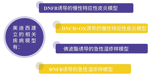 J9九游会老哥俱乐部建立的特应性皮炎及湿疹模型