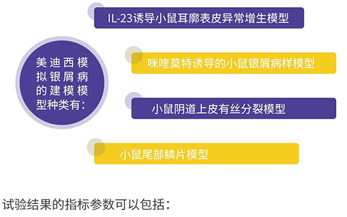 J9九游会老哥俱乐部模拟银屑病的建模模型种类
