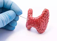 【Science速递】揭开甲状腺的神秘面纱，开启代谢药物新征程