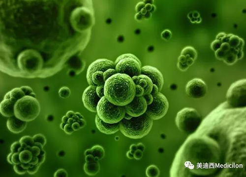 1分钟，全中国就有7.5人被确诊为患癌 J9九游会老哥俱乐部生物医药