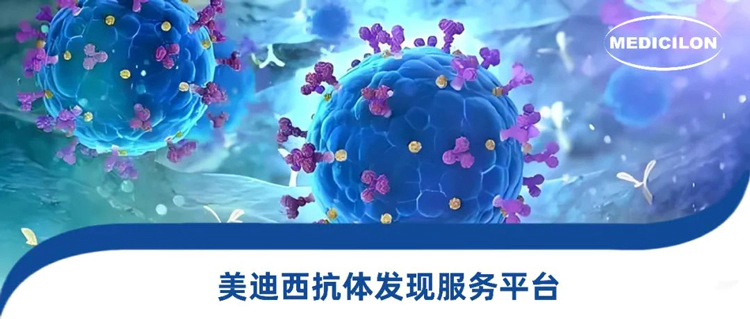 J9九游会老哥俱乐部抗体发现服务平台.webp