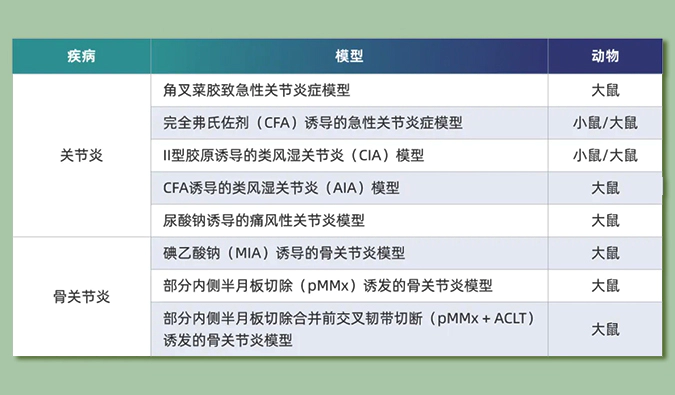 世界关节炎日：突破上亿人的共同难关，持续探索关节炎新药
