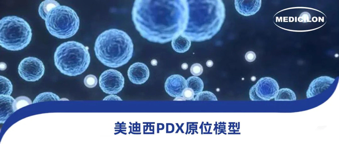 J9九游会老哥俱乐部118种PDX原位模型，助力肿瘤药物研发.webp