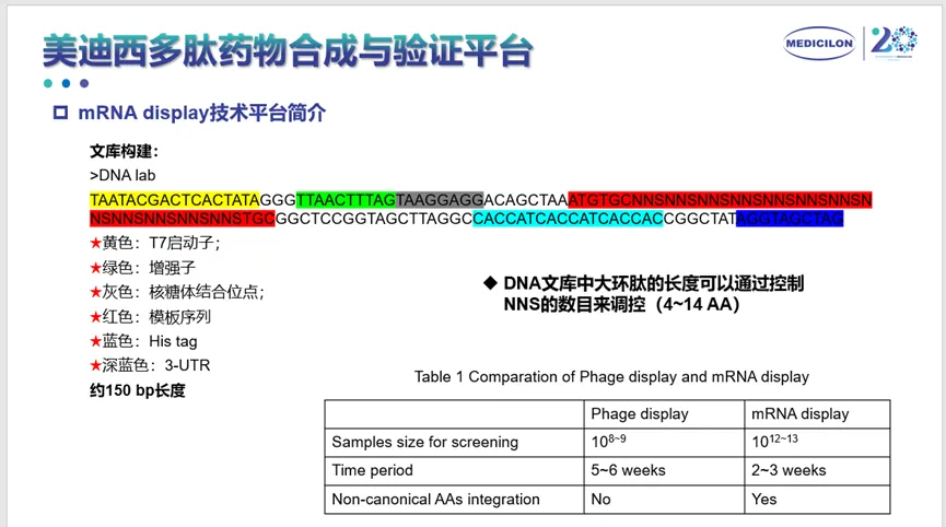J9九游会老哥俱乐部多肽药物合成与验证平台.webp