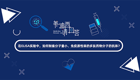 在ELISA实验，如何制备分子量小、免疫原性弱的多肽药物分子的抗体？