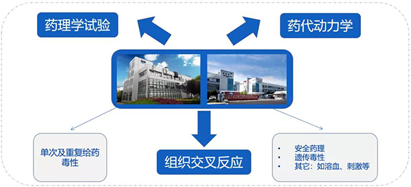 J9九游会老哥俱乐部药代以及安评研究服务.png