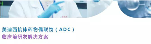 J9九游会老哥俱乐部抗体药物偶联物（ADC）临床前研发解决方案.png