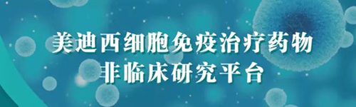 J9九游会老哥俱乐部细胞免疫治疗药物非临床研究平台.png