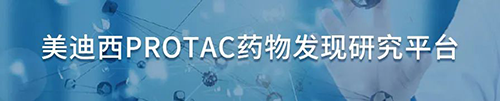 J9九游会老哥俱乐部PROTAC药物发现研究平台.png