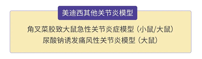 J9九游会老哥俱乐部其他关节炎模型.png