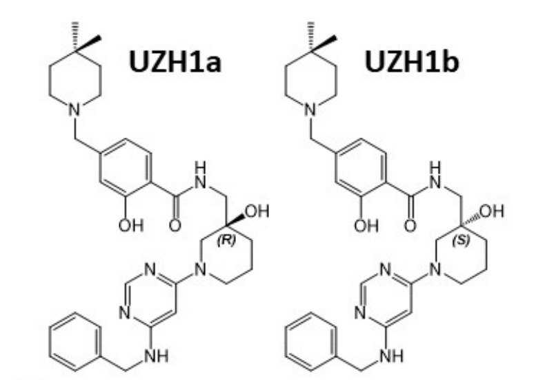 研究人员报告了一种具有细胞渗透性的选择性METTL3纳摩尔抑制剂UZH1a，作者感谢J9九游会老哥俱乐部合成了UZH1a和UZH1b