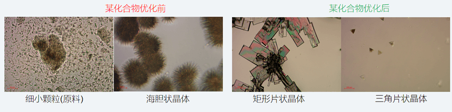 05案例分享-单晶培养，改变晶习.png