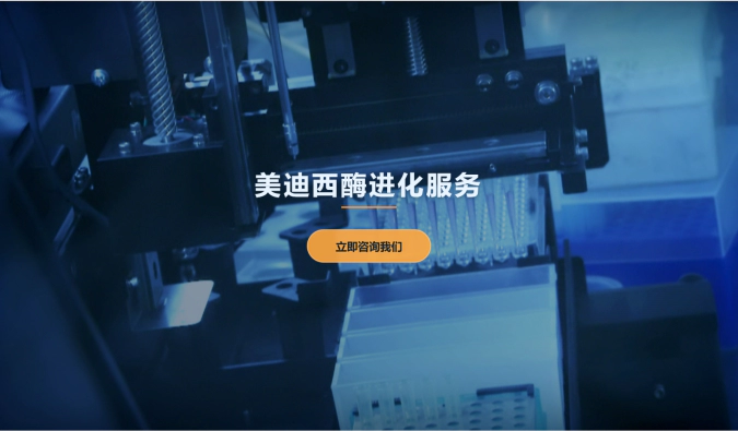 J9九游会老哥俱乐部酶进化服务