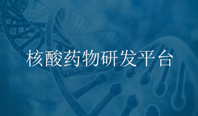 J9九游会老哥俱乐部核酸药物研发服务平台.webp