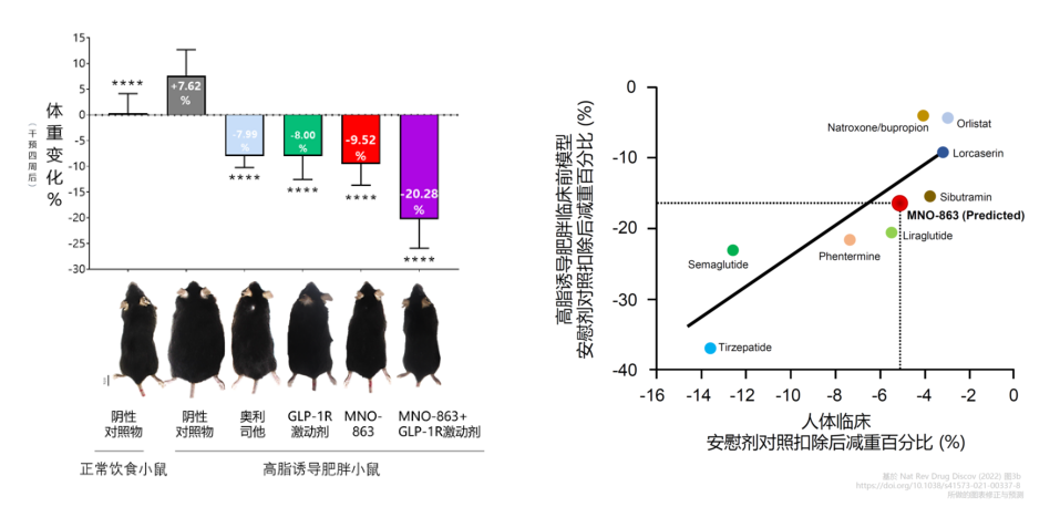 4周降低近10%体重！J9九游会老哥俱乐部助力慕恩生物MNO-863活菌生物药获批临床