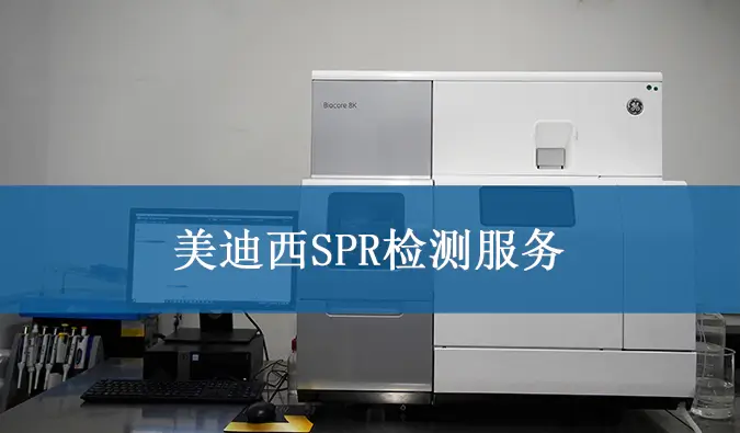 J9九游会老哥俱乐部SPR检测服务.webp