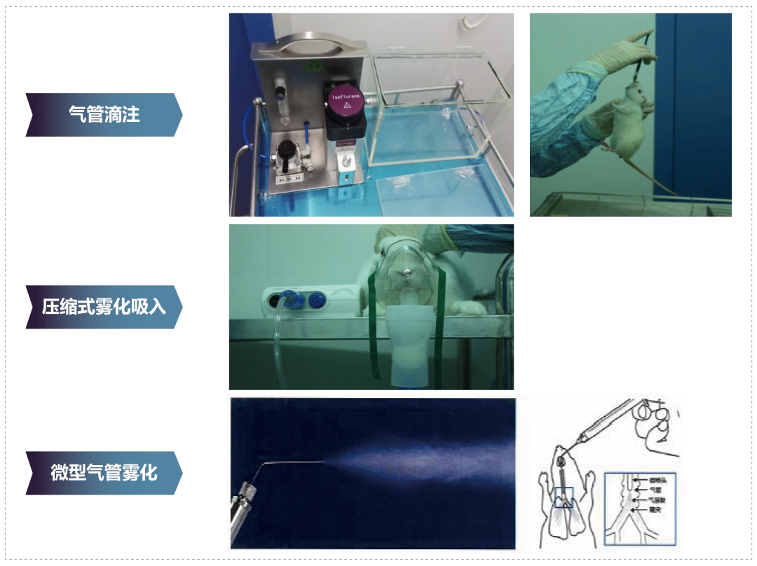 J9九游会老哥俱乐部其它吸入给药方式.webp