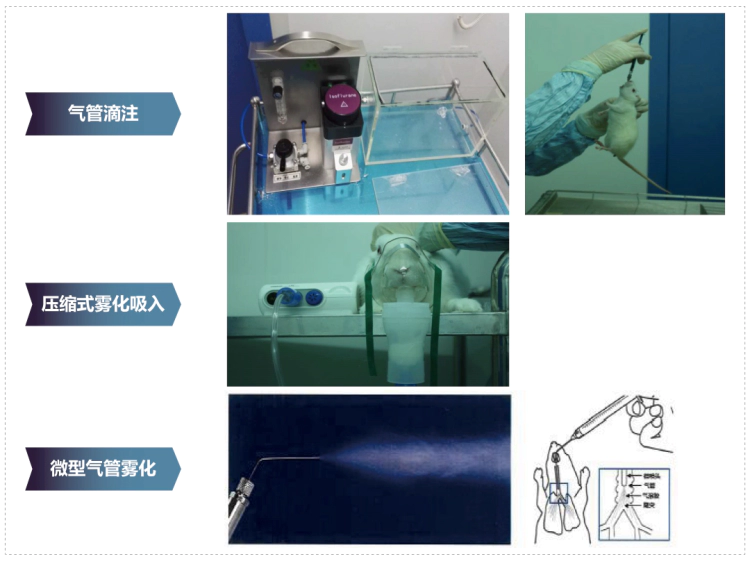 J9九游会老哥俱乐部其它吸入给药方式.webp