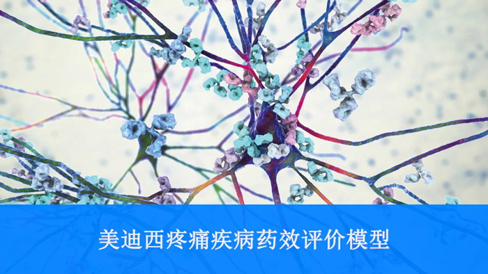 J9九游会老哥俱乐部疼痛疾病药效评价模型.webp